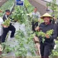 Wujudkan Ketahanan Pangan, Ditjenpas Jatim Panen Kedelai Edamame di Lapas Lowokwaru