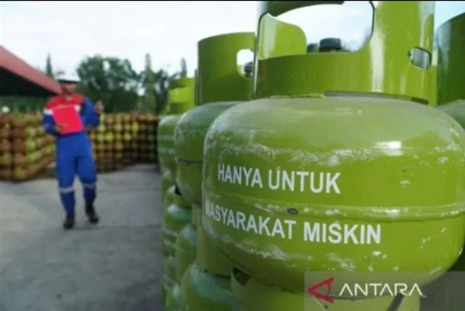 
					Ilustrasi LPG 3kg. (Antara)