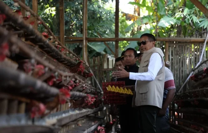 
					Wali Kota dan Wakil Wali Kota Malang kunjungi lahan pertanian cabai dan peternakan ayam petelur di Kelurahan Wonokoyo, Kecamatan Kedungkandang. (Ist)