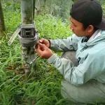 Kawasan Raung-Ijen Masih Jadi Surga Satwa Langka, Kamera Trap Rekam Jejak Macan Tutul Jawa