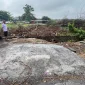 Penebangan Pohon Beringin Tua di Singosari, Benarkah Kepentingan Proyek Komersil?