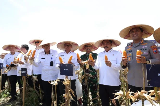 
					Panen Raya ImiPas: Dari Dokumen Menuju Jagung 45 Ton, Imigrasi Malang Turut Dukung Ketahanan Pangan Nasional