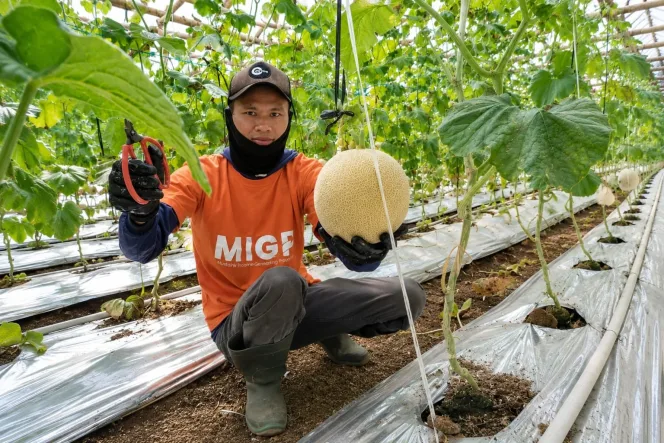 
					Dari Buruh Tani Menuju Petani Mandiri, Program Zakat Produktif YBM BRILiaN Hasilkan Omzet Hampir Rp93 Juta