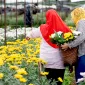 Lima Pilihan Menikmati Malang pada Oktober, dari Festival Nostalgia hingga Wisata Heritage